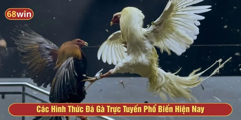 Có nhiều hình thức cá cược đá gà
