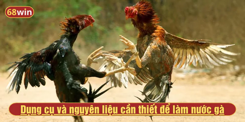 Dụng cụ và nguyên liệu cần thiết để làm nước gà hiệu quả