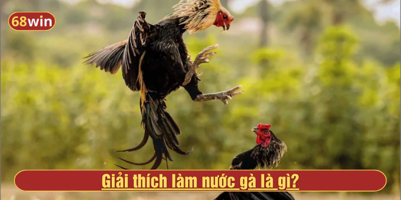 Giải thích làm nước gà là gì?