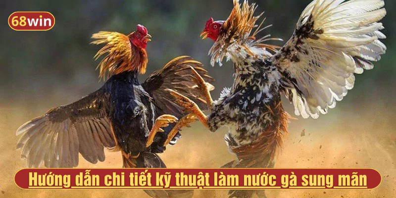 Hướng dẫn chi tiết kỹ thuật làm nước gà sung mãn, giữ tỉnh táo xuyên trận